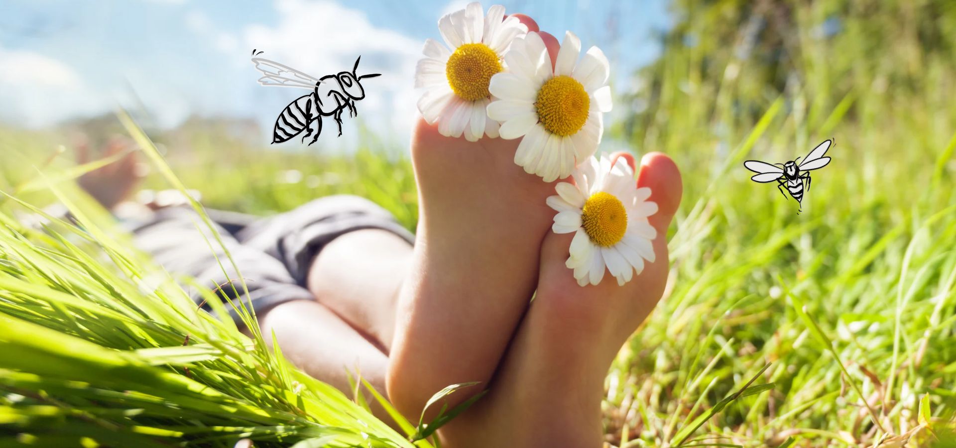 Insektenstiche behandeln – Erste Hilfe bei Bienen- und Wespenstichen