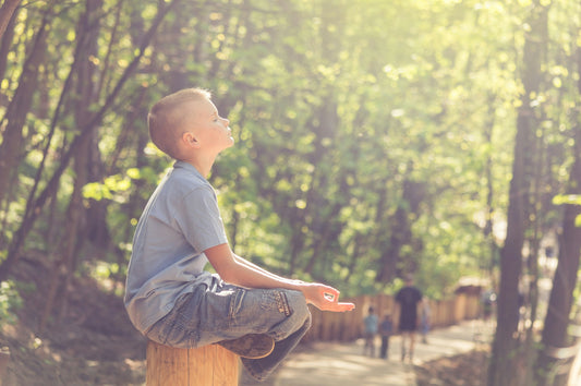 Die Bedeutung von Vitamin D in den Herbstmonaten